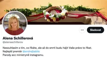 Ilustrační obrázek k Parodický účet Aleny Schillerové sdílí ironický tweet o zdražování