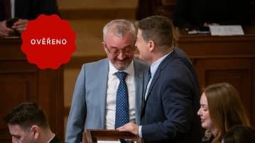 Ilustrační obrázek k Důvěra vládě a (ne)vydání k trestnímu stíhání