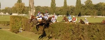 Ilustrační obrázek k Otázky Václava Moravce Speciál - Pardubický kraj