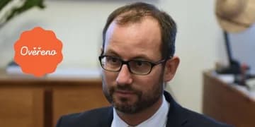 Ilustrační obrázek k O Zemanovi, Babišovi a vládě