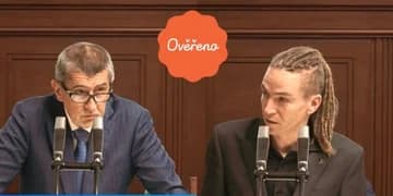 Ilustrační obrázek k Interpelace (GIBS): Bartoš vs. Babiš