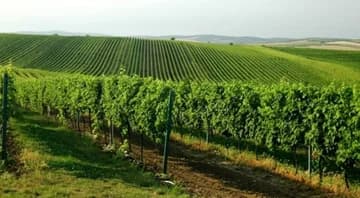 Ilustrační obrázek k Krajské volby: Jihomoravský kraj