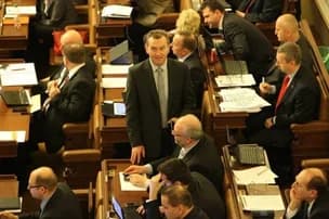 Ilustrační obrázek k Poslanecká platforma proti multikulturalismu