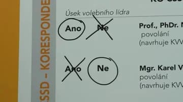Ilustrační obrázek k Ne/pochopitelný systém v ČSSD?