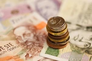 Ilustrační obrázek k Složenka na 96 tisíc korun pokrývá dvouměsíční péči o devět dětí