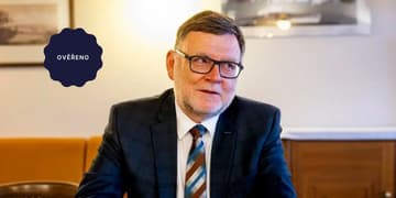 Ilustrační obrázek k „Uražení“ Piráti podle ministra financí