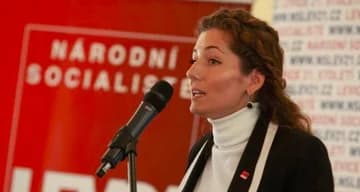 Ilustrační obrázek k Volby 2013: Národní socialisté - levice 21. století