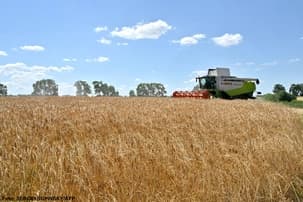 Ilustrační obrázek k Smyšlené zprávy o prodeji ukrajinské půdy do zahraničí