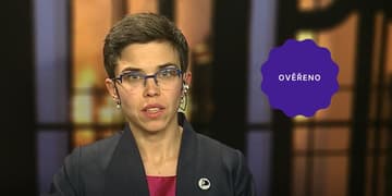 Ilustrační obrázek k Partnerství pro všechny