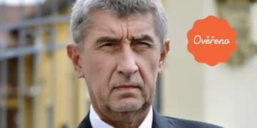 Ilustrační obrázek k Vláda Andreje Babiše II