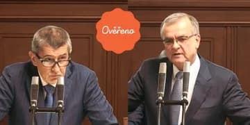 Ilustrační obrázek k Interpelace (Búšehr): Kalousek vs. Babiš