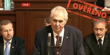 Ilustrační obrázek k Projev Miloše Zemana v Poslanecké sněmovně