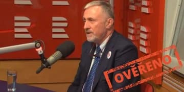 Ilustrační obrázek k Debata v Českém rozhlase: Mirek Topolánek