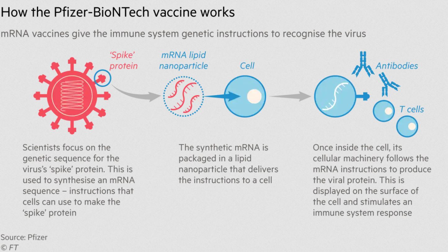Ilustrační obrázek k výstupu Jak fungují mRNA vakcíny