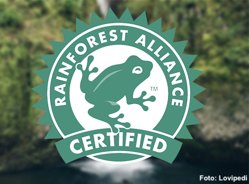 Ilustrační obrázek k výstupu Označenie Rainforest Alliance sa používa pre výrobky vyrábané udržateľným spôsobom